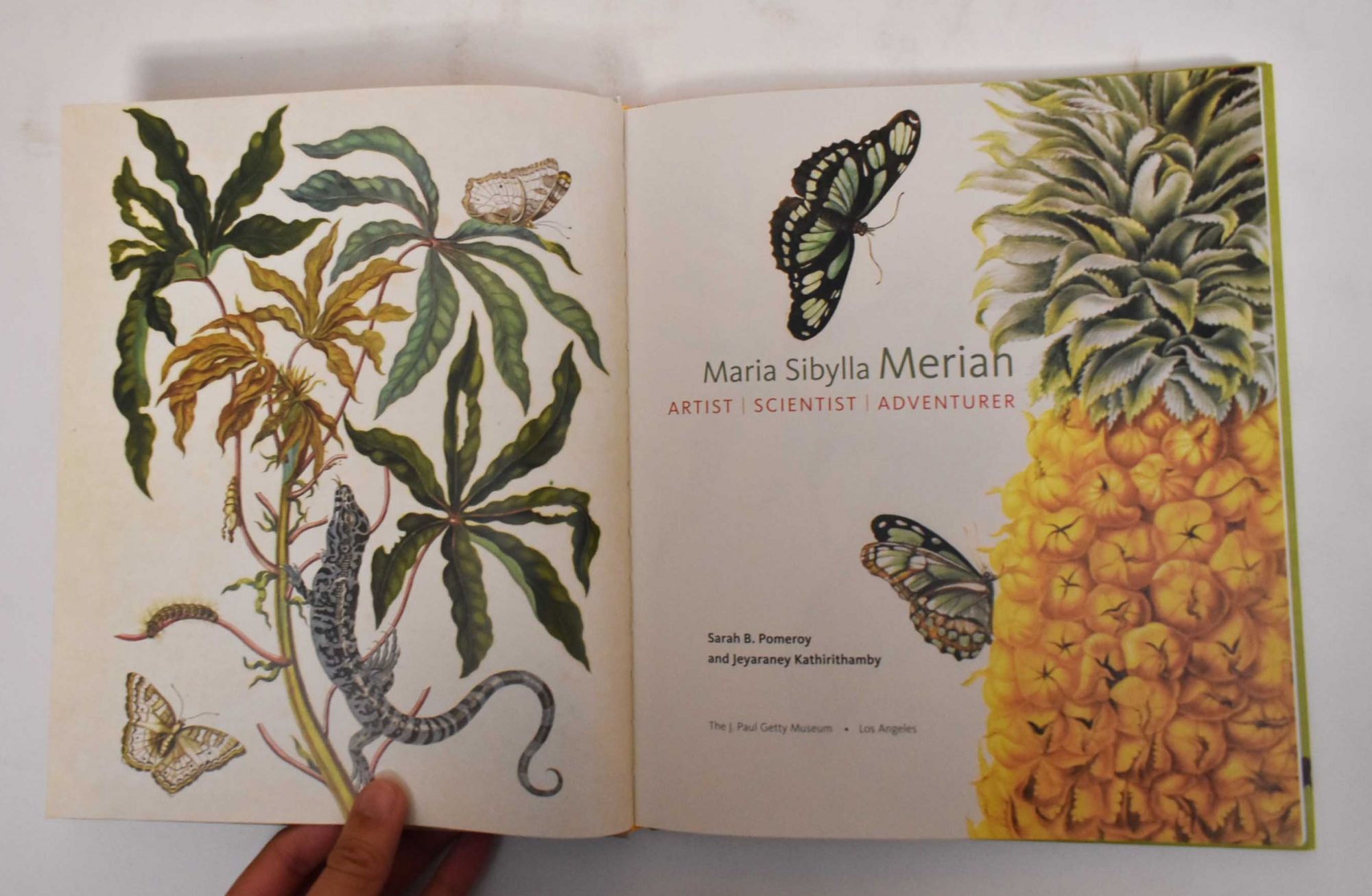 Maria Sibylla Merian: Artist, Scientist, Adventurer | Sarah B. Pomeroy ...
